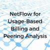 NetFlow for Usage-Based Billing and Peering Analysis