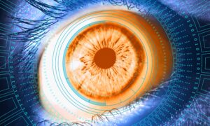 Cyber Network Intelligence
